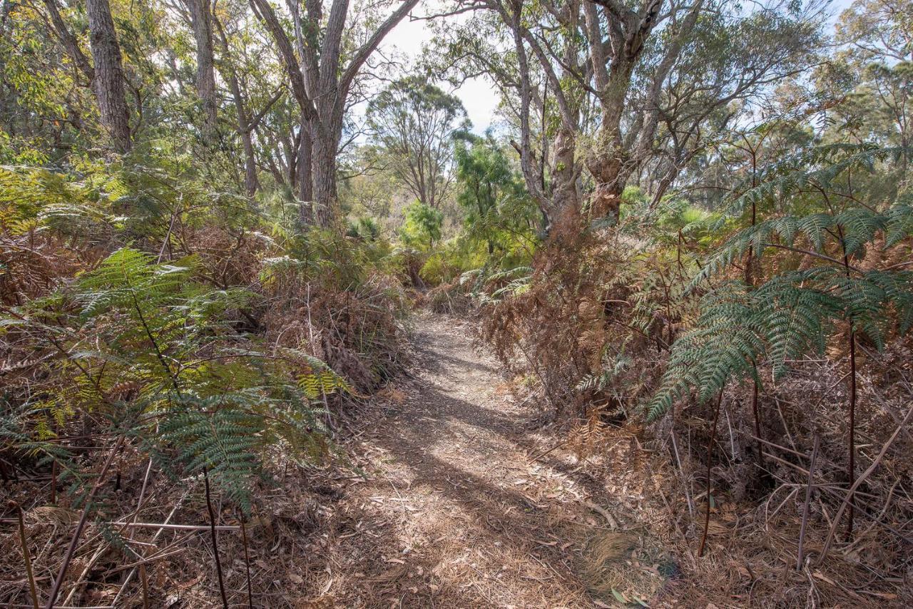 Yelverton Brook Conservation Sanctuary Metricup Εξωτερικό φωτογραφία