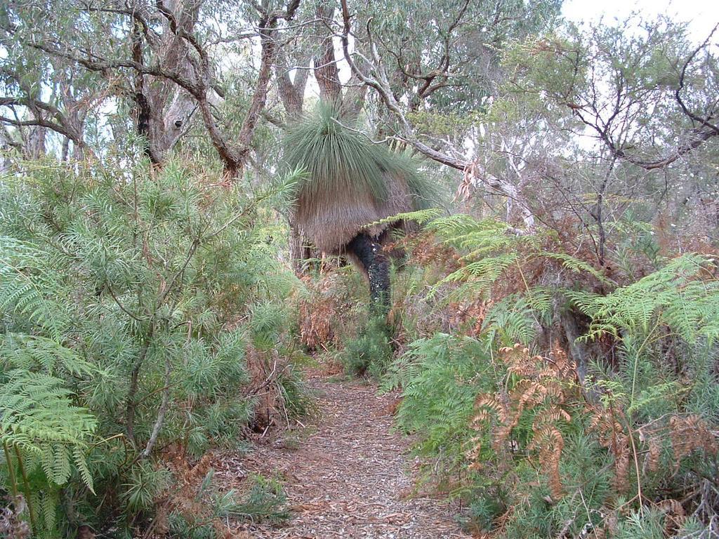 Yelverton Brook Conservation Sanctuary Metricup Εξωτερικό φωτογραφία